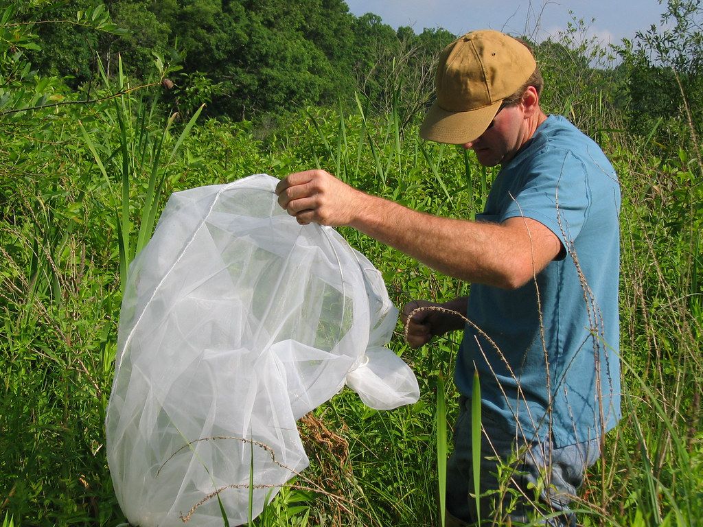 Fort Custer Integrated Pest Management