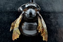 Xylocopa sonorina by (c) Sam Droege, some rights reserved (CC BY). Used under a CC-BY license.