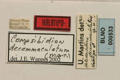Heterachthes decemmaculatus by the Smithsonian. Used under a CC0 license.