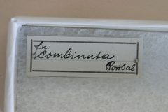 Phymatodes testaceus f. combinata by the Smithsonian. Used under a CC0 license.