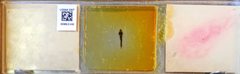 Anopheles (Anopheles) quadrimaculatus by the Smithsonian. Used under a CC0 license.