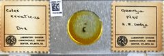 Culex (Melanoconion) erraticus by the Smithsonian. Used under a CC0 license.