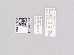 Temnostoma excentrica by the Smithsonian. Used under a CC0 license.