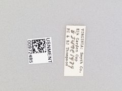 Temnostoma excentrica by the Smithsonian. Used under a CC0 license.