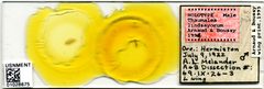 Thaumalea lindsayorum by the Smithsonian. Used under a CC0 license.