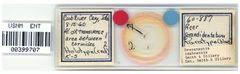 Drepanaphis idahoensis by the Smithsonian. Used under a CC0 license.