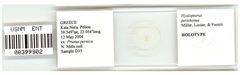 Hyalopterus persikonus by the Smithsonian. Used under a CC0 license.