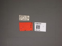 Minitingis elsae by the Smithsonian. Used under a CC0 license.