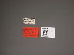 Minitingis elsae by the Smithsonian. Used under a CC0 license.
