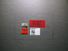 Leiophron fuscipennis by the Smithsonian. Used under a CC0 license.