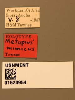 Metopius (Metopius) mimicus by the Smithsonian. Used under a CC0 license.