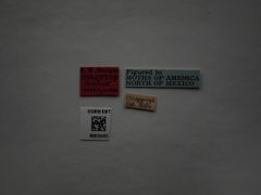 Anoncia porriginosa by the Smithsonian. Used under a CC0 license.