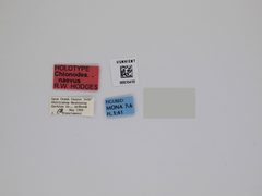 Chionodes naevus by the Smithsonian. Used under a CC0 license.