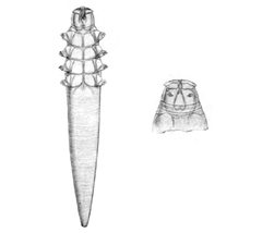 Demodex canis by Stanley Hirst (1883—1930). Used under a Public domain license.