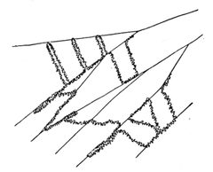 Common Spiders U.S. 491 Callobius bennetti web by James Henry Emerton (1847 – 1931). Used under a Public domain license.