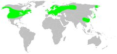 Distribution.clubiona.trivialis.1 by User:Sarefo. Used under a CC BY-SA 3.0 license.
