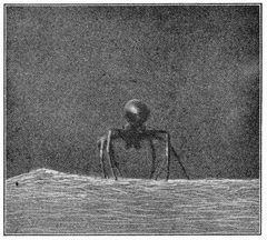 Common Spiders U.S. 360 Erigone dentigera by James Henry Emerton (1847 – 1931). Used under a Public domain license.