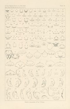 Hentz Plate 18 by Nicholas Marcellus Hentz. Used under a Public domain license.