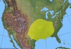 Loxosceles reclusa range by ReliefUSA_map.gif: Public domain, U.S. government
derivative work: Bob the Wikipedian (talk • contribs). Used under a CC BY-SA 3.0 license.