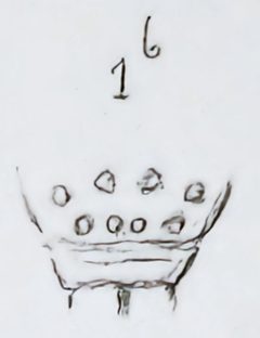 Enoplognatha thoracica eye configuration by Leon Becker. Used under a Public domain license.