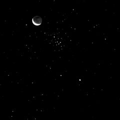 Mondsichel.Praesepe.Venus by Bautsch. Used under a CC0 license.