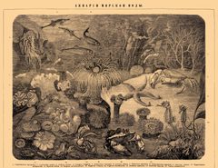 Brockhaus and Efron Encyclopedic Dictionary b1 282-0 by painter from Brockhaus and Efron Encyclopedic Dictionary. Used under a Public domain license.