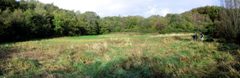 Fardrum Turlough - geograph.org.uk - 270090 by Falcon. Used under a CC BY-SA 2.0 license.