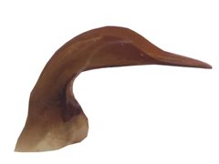 Matus bicarinatus aedeagus by Fredlyfish4. Used under a CC BY-SA 4.0 license.