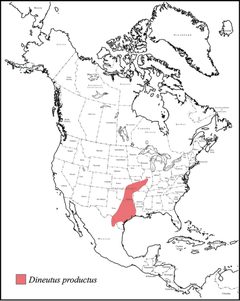 Dineutus productus range map by Grey T. Gustafson, Kelly B. Miller. Used under a CC BY-SA 4.0 license.