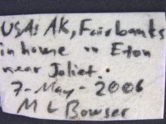 2011-08-15-UAM100038213-Pseudohadrotoma perversa-label1a by University of Alaska Museum. Used under a CC0 license.