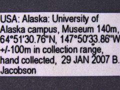 2011-08-15-UAM100001714-Reesa vespulae-label1 by University of Alaska Museum. Used under a CC0 license.