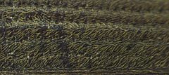 Anobium punctatum detail by Siga. Used under a CC BY-SA 3.0 license.