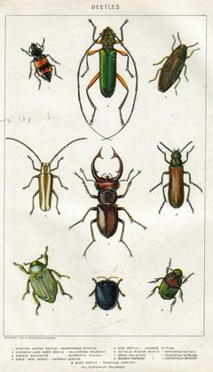 NIEdot298A by Dodd, Mead and Company. Used under a Public domain license.