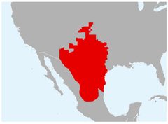 Anaxyrus debilis range map by IUCN. Used under a CC BY-SA 3.0 license.