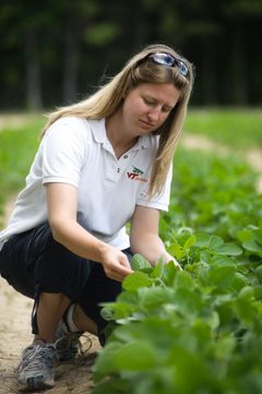 Eastern Shore Ag Research 1 by John McCormick. Used under a CC BY-SA 3.0 license.