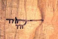 Columbian timber beetle damage by James Solomon. Used under a CC BY 3.0 us license.