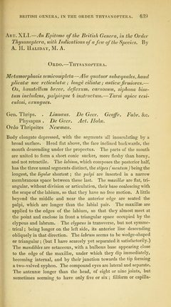Entomological MagazineVol3Page439 by Alexander Henry Haliday. Used under a Public domain license.
