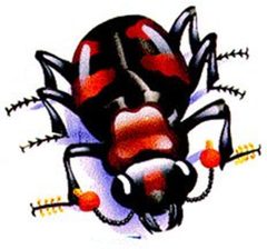 Nicrophorus americanus epa by US Environmental Protection Agency. Used under a Public domain license.