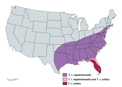 The-geographical-distribution-of-Toxorhynchites-rutilus-in-the-United-States by Abdullah A. Alomar. Used under a CC BY-SA 4.0 license.