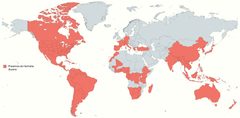 Distribucio hermetia illucens by JllPons. Used under a CC BY-SA 4.0 license.