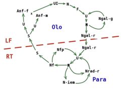 Ciclo fillossera by No machine-readable author provided. Giancarlodessi assumed (based on copyright claims).. Used under a CC BY-SA 3.0 license.