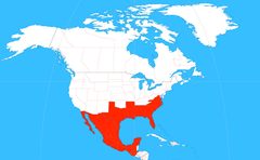 Xylocopa micans range map by Kulshrestha51. Used under a CC BY-SA 4.0 license.