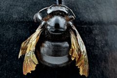 Xylocopa sonorina by USGS Native Bee Inventory and Monitoring Laboratory. Used under a Public domain license.