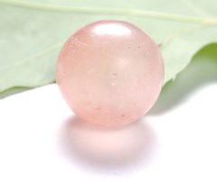 Translucent Oak Gall by Antoine Guiguet. Used under a CC BY-SA 4.0 license.
