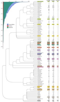 Available genomes across the arthropods by Romain Feron and Robert M Waterhouse. Used under a CC BY 4.0 license.