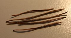 Pine needles closterocerus ruforum by Sorneguer. Used under a CC BY-SA 3.0 license.