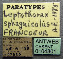 Leptothorax sphagnicola casent0104801 label 1 by April Nobile. Used under a CC BY 4.0 license.