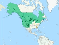 Myrmica brevispinosa range by KadenLikesMilk. Used under a CC BY-SA 4.0 license.