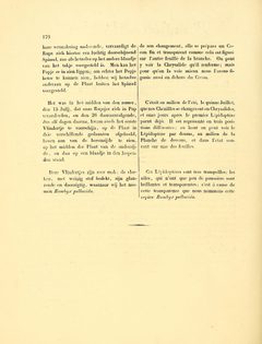 Sepp-Surinaamsche vlinders - pl 076 text2 descr. as Phalaena pellucida by Jan Sepp  (1778 - 1853). Used under a Public domain license.