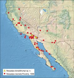 Distribution of Neopalpa species by Vazrick Nazari. Used under a CC BY 4.0 license.